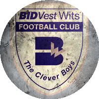 Logo Bidvest Wits FC